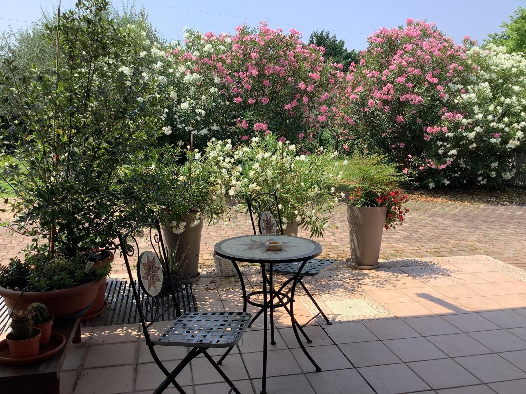 Edyshome Peschiera del Garda Zewnętrze zdjęcie